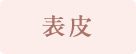 表皮