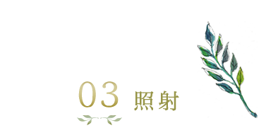 照射