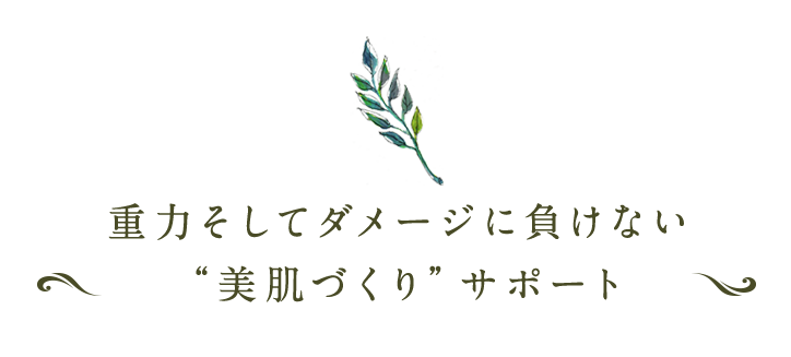 “美肌づくり”サポート