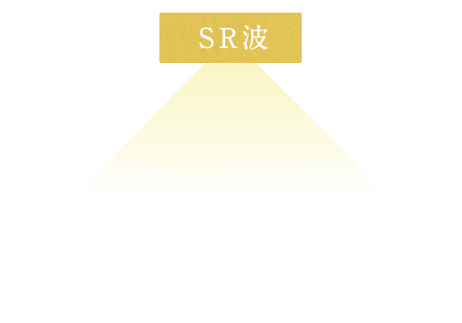 細胞