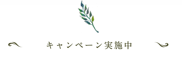 キャンペーン