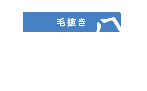 毛抜き