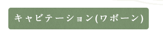 脂肪細胞膜を分解