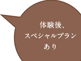 スペシャルプランあり