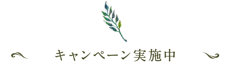キャンペーン