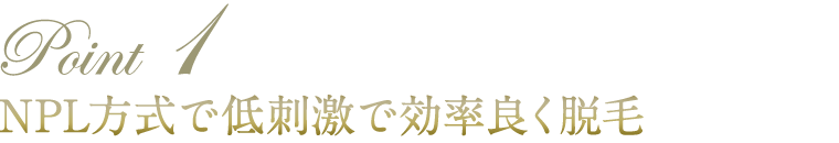 NPL方式で低刺激で効率良く脱毛