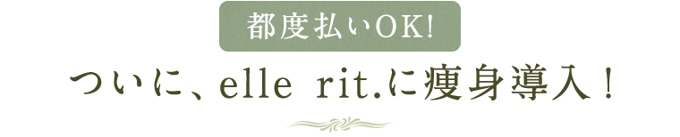 ついに、エルリも導入
