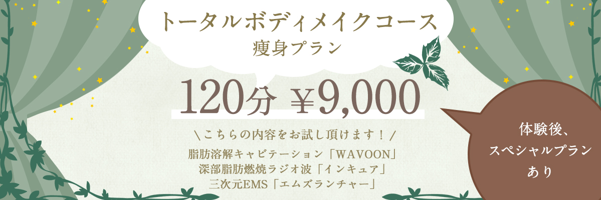 痩身キャンペーン
