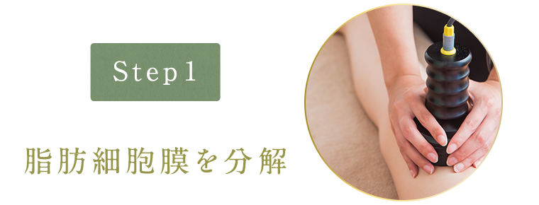 脂肪細胞膜を分解
