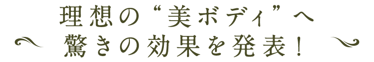 料金