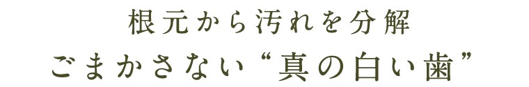 美肌づくり サポート
